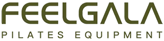 Shenzhen Desen Fitness Tehnologie Co., Ltd.